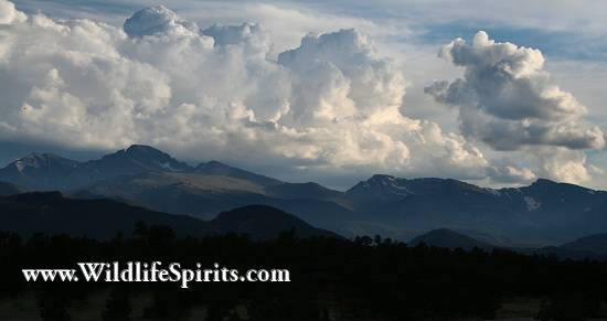 Click Picture to send as an  E-PostCard 58k 550x291